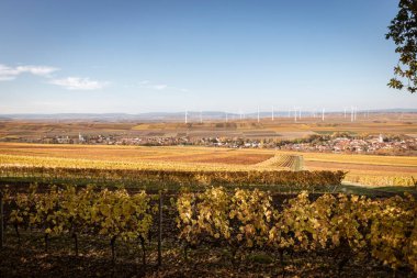 Almanya 'nın Flonheim, Rhine Hesse kentinin panoramik manzarası mavi gökyüzüne karşı 