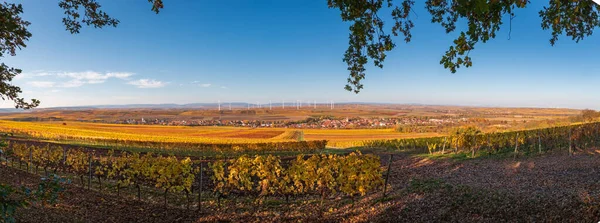 Vue Panoramique Flonheim Rhin Hesse Allemagne Entourée Vignobles Jaunes Couleur — Photo