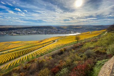 Niederwald Anıtı 'ndan panoramik manzara (mikrop). Niederwalddenkmal) Bulutlu mavi gökyüzüne karşı Bingen ve Rheinhessen şehrine