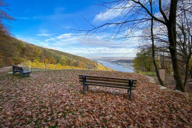 Almanya 'daki Niederwald Anıtı yakınlarındaki Ren Nehri, Rheingau ve Rheinhessen nehri manzaralı bankta.