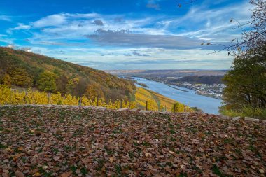 Almanya 'da Niederwald Anıtı yakınlarında Ren Nehri, Rheingau ve Rheinhessen manzarası