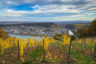 Niederwald Anıtı yakınlarındaki Ren Nehri, Bingen ve Rheinhessen manzarası, sarı sonbahar renklerinde üzüm bağıyla Almanya