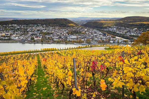 Scenic View River Rhine Bingen Rheinhessen Niederwald Monument Germany Vineyard — Stock Photo, Image
