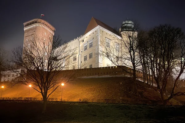 Scénický Pohled Osvětlený Královský Hrad Wawel Krakov Polsko Noci Zimě — Stock fotografie