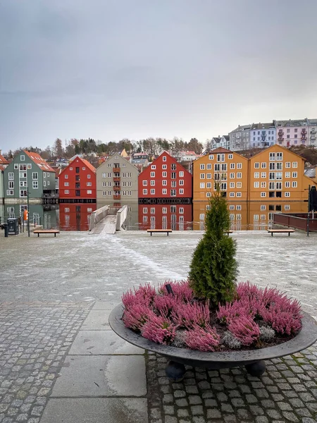 挪威特隆赫姆布赖吉区的Nidelva河的五颜六色的历史性木材仓库 冬季与多云的天空相抗衡 — 图库照片