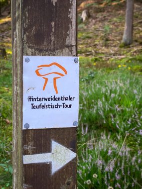Kaltenbach, Almanya - 25 Ağustos 2021: Yazın Palatinate Ormanı 'ndaki Hinterweidenthaler Teufelstisch-Tour yolunda yön gösteren imza