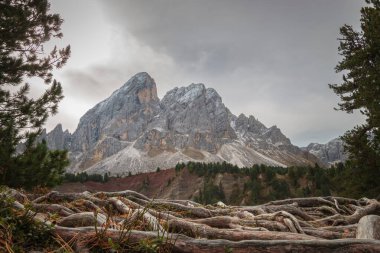Peitlerkofel manzarası (ital. Güney Tyrol, İtalya 'da bulutlu gökyüzüne karşı kökleri köklü bir dağdır.