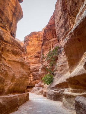 Ürdün 'ün tarihi ve arkeolojik kenti Petra' ya giden Siq Kanyonu gökyüzüne karşı