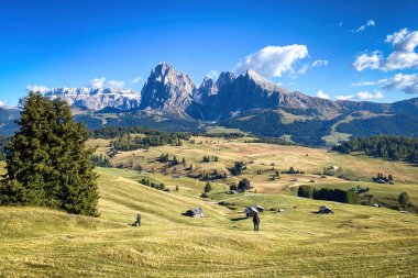 Sassolungo 'nun İkonik Panoraması - Seiser Alpe di Siusi' de Langkofel dağ grubu, Dolomitler, Güney Tyrol, İtalya 'da mavi gökyüzüne karşı
