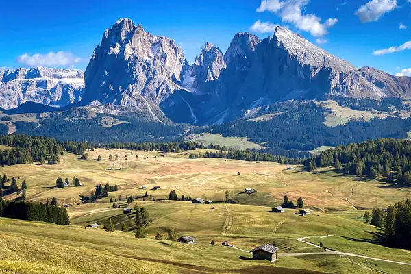 Panorama Icónico Sassolungo Grupo Montañoso Langkofel Otoño Seiser Alm Alpe Imágenes De Stock Sin Royalties Gratis
