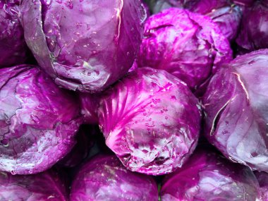 Organik radicchio 'nun tam kare resmi