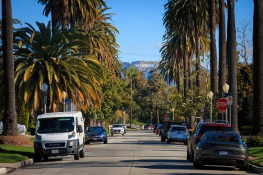 Los Angeles, ABD - 1 Nisan 2024: Mavi gökyüzüne karşı palmiye ağaçları arasından ünlü Hollywood tabelasının manzarası