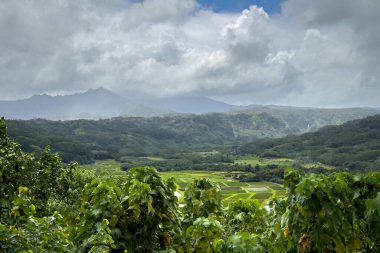 ABD 'nin Hawaii adası Kauai' de bulutlu gökyüzüne karşı Hanalei Vadisi 'nden manzara