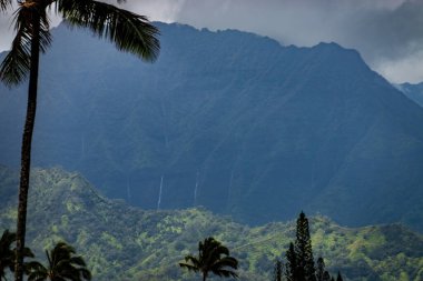 ABD 'nin Hawaii adası Kauai' nin kuzey kıyısında yükselen yemyeşil bitki örtüsüyle kaplı dağların manzarası bulutlu gökyüzüne karşı birkaç şelale ile