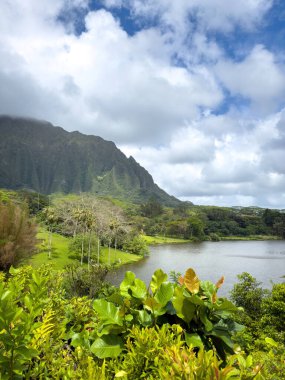 Kahua Kuou 'dan, Hawaii' nin Oahu Adası 'ndaki Loko Waimaluhia rezervuarına bakan Ho' omaluhia Botanik Bahçesi manzarası bulutlu mavi gökyüzüne karşı.