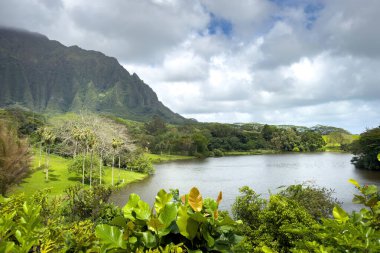 Kahua Kuou 'dan, Hawaii' nin Oahu Adası 'ndaki Loko Waimaluhia rezervuarına bakan Ho' omaluhia Botanik Bahçesi manzarası bulutlu mavi gökyüzüne karşı.