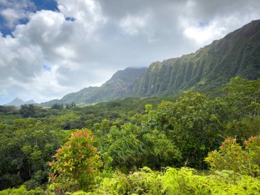 ABD 'nin Oahu kentindeki Hawaii Adası' ndaki Ho 'omaluhia Botanik Bahçesi' nden görülen yeşil dağlı manzara bulutlu gökyüzüne karşı