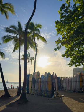 Honolulu, Hawaii, ABD - 2 Nisan 2024: Waikiki Plajı 'nda, palmiye ağaçlarının altında, bulutlu mavi gökyüzüne karşı sörf tahtaları ile gün batımı
