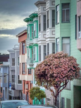 San Francisco, Kaliforniya 'daki konutların yan manzarası Viktorya Dönemi tarzında ön planda çiçek açan ağaçla birlikte inşa edilmiş.