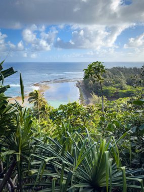 Kee Beach view lookout with beach at low tide on the Hawaiian island of Kauai seen from Kalalau Trail against blue sky with clouds clipart