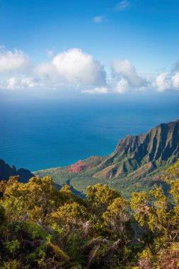 Kalalau Gözcüsü, ABD 'nin Hawaii adası Kauai' deki Koke 'e Eyalet Parkı' ndaki güzel Napali Sahili manzaralı.
