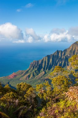 Kalalau Gözcüsü, ABD 'nin Hawaii adası Kauai' deki Koke 'e Eyalet Parkı' ndaki güzel Napali Sahili manzaralı.
