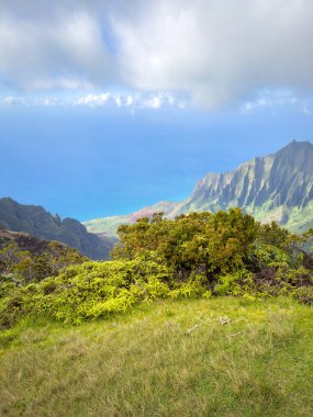 Kalalau Lookout with scenic view of beautiful Napali Coast at Koke'e State Park on the Hawaiian island of Kauai, USA clipart