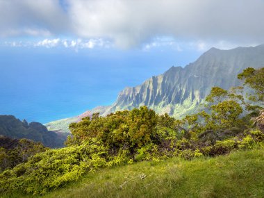 Kalalau Gözcüsü, ABD 'nin Hawaii adası Kauai' deki Koke 'e Eyalet Parkı' ndaki güzel Napali Sahili manzaralı.