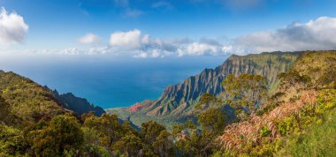 Kalalau Lookout with panoramic view of beautiful Napali Coast at Koke'e State Park on the Hawaiian island of Kauai, USA clipart