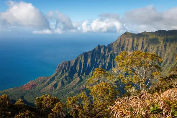 Kalalau Gözcüsü, ABD 'nin Hawaii adası Kauai' deki Koke 'e Eyalet Parkı' ndaki güzel Napali Sahili manzaralı.