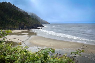 Cape Cove Sahili ve Şeytani Dirsek Oregon Pasifik Sahili, ABD Bulutlu bir yaz gününde