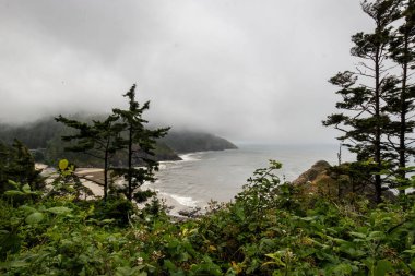 Cape Cove Sahili ve Şeytani Dirsek Oregon Pasifik Sahili, ABD Bulutlu bir yaz gününde