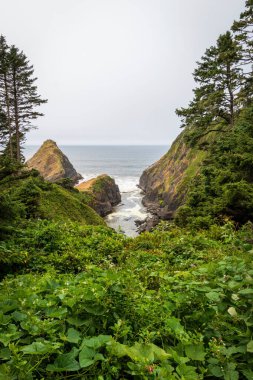 Scenic view Heceta Head peninsula at Oregon Pacific Coast, USA on a cloudy summer day clipart