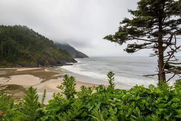 Cape Cove Sahili ve Şeytani Dirsek Oregon Pasifik Sahili, ABD Bulutlu bir yaz gününde