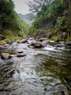 Scenic view of Hanakapiai Valley and Stream, Kauai, Hawaii, USA against sky clipart