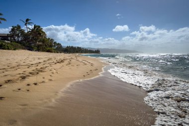 Scenic view of Laniakea Beach on the island of Oahu, Hawaii, USA against blue sky with clouds clipart