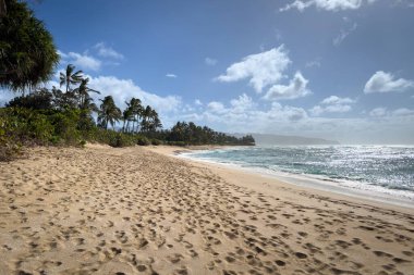 Scenic view of Laniakea Beach on the island of Oahu, Hawaii, USA against blue sky with clouds clipart