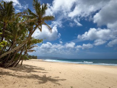 ABD 'nin Oahu, Hawaii adasındaki Banzai Plajı manzarası bulutlu mavi gökyüzüne karşı
