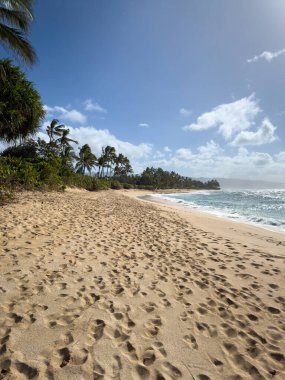 Scenic view of Laniakea Beach on the island of Oahu, Hawaii, USA against blue sky with clouds clipart