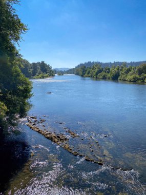 Eugene, Oregon, ABD 'deki Willamette Nehri' nin mavi gökyüzüne karşı manzarası