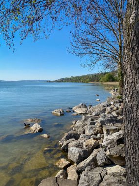 Sempach Gölü manzaralı Sempachersee, İsviçre mavi gökyüzüne karşı