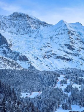 Jungfrau (solda) ve Silberhorn dağlarının manzarası Lauberhorn kayak pistinin yukarısında Wengen, İsviçre 'de mavi gökyüzüne karşı yarışıyor.