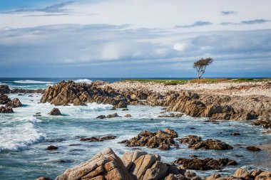 Scenic view of rocky Pacific Ocean coast with Hole 14 of Monterey Peninsula Country Club (MPCC Dunes), Del Monte Forest, California, USA against cloudy sky clipart