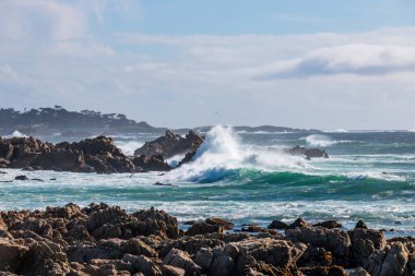 Pasifik Okyanusu kıyısındaki kayalık manzaralı 17 mil boyunca güneye bakan Del Monte Ormanı, Kaliforniya, ABD mavi gökyüzüne karşı bulutlu