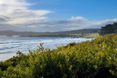 7. Delik ve 8. Delik manzaralı Pebble Beach Golf Sahası Carmel Beach, Kaliforniya, ABD