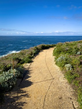 Sand Hill Trail in Point Lobos State Doğal Rezerv, Kaliforniya, ABD 'deki manzarası sabah mavi gökyüzüne karşı