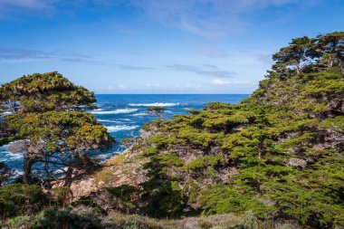 Cypress Grove Patikası 'ndan Pasifik Okyanusu sahili manzaralı Point Lobos State Natural Reserve, Kaliforniya, ABD mavi gökyüzüne karşı bulutlu