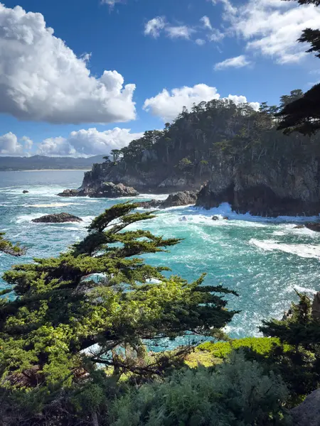 Cypress Grove Patikası 'ndan güzel Pasifik Okyanusu sahili manzarası Point Lobos State Doğal Rezerv, Kaliforniya, ABD' de bulutlu mavi gökyüzüne karşı