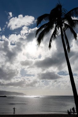 Waialua Körfezi 'nin manzaralı manzarasında arka plan ışıklarına karşı ABD' nin Hawaii eyaletinin Oahu adası kıyılarında kürek çeken kanolar var.