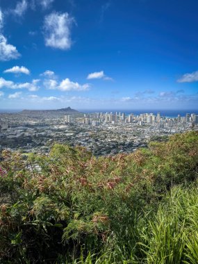 Honolulu, Oahu, Hawaii 'nin Panorama şehri. Yuvarlak Top Drive boyunca bulutlu mavi gökyüzüne doğru bir bakış açısıyla görüldü.